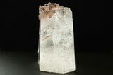 Large, Glassy Selenite Crystal - Naica Mine, Mexico #372139-3